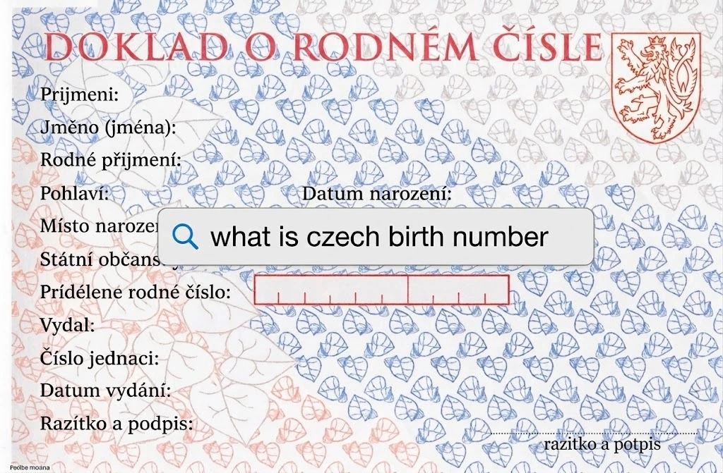 Official Czech birth number certificate Doklad o rodnem cisle with a central search bar reading what is czech birth number